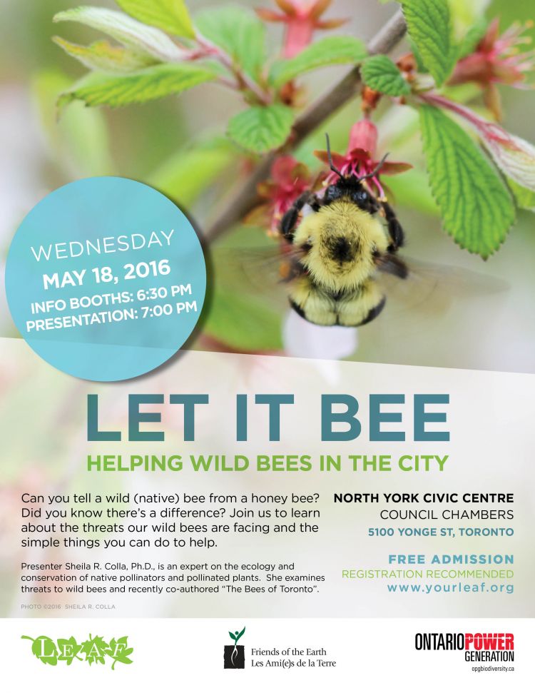 Let it Bee event poster