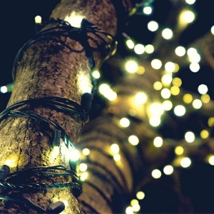 Zoom in of holiday lights wrapped around a tree shining prettily at night(© 2017 alljos)