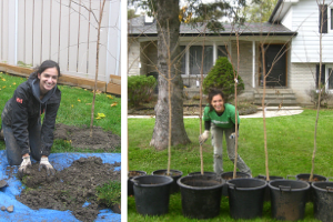 LEAF staff 1. planting, 2. delivery trees and shrubs(© 2018 Brenna Anstett)