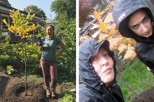 Arborists next to new trees 1. In the sun, 2. In the rain(© 2018 Brenna Anstett)