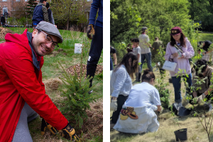 Side-by-side picture of volunteers planting at community planting events(© 2018 Isaac Lee & Erica Hazlett)