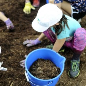 Girl mulching. (© 2018 Melody Ng )