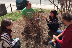 © 2018 Natalie Secen: volunteers outdoor learning to prune(© 2018 Natalie Secen)