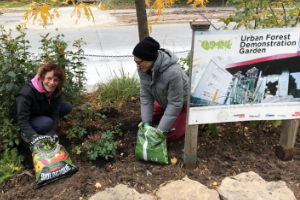 © 2018 Natalie Secen: volunteers planting in a garden by a road(© 2018 Natalie Secen)