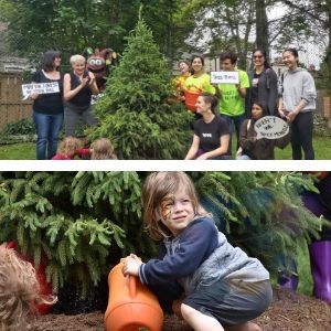 Picture collage of people posing by a newly planted white spruce and of a child watering it(© 2019 Lam Tran & Stephen Mendoza / LEAF)