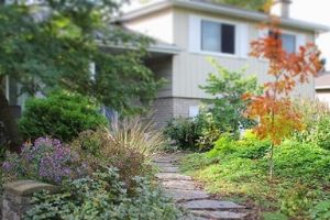Yard with native plants and fall colours. A house is in the background. (© 2018 Laura Tipton)