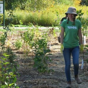 LEAF staff walking through recently planted trees/shrubs(© 2019 Phyllis Koppel / LEAF)