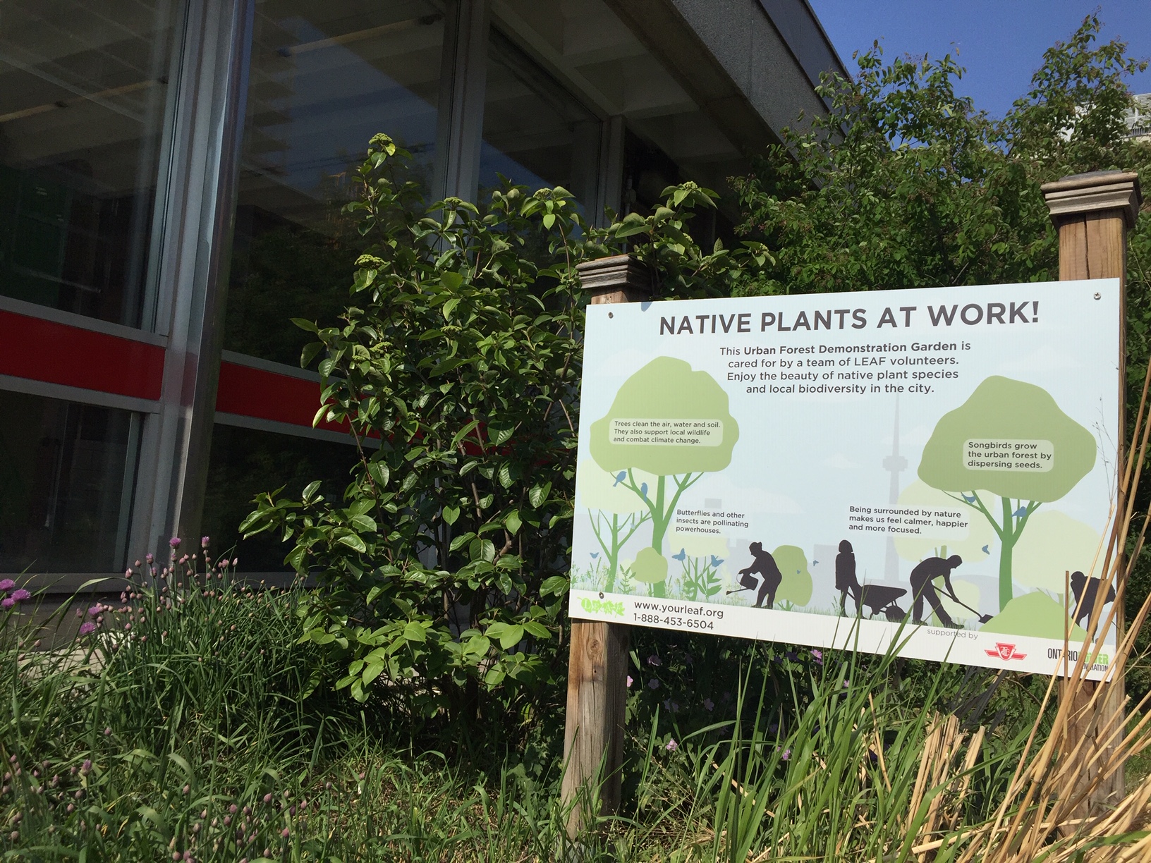 UFDG sign in a garden(© 2021 Erin MacDonald / LEAF)