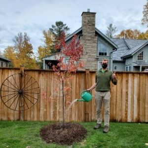 Kevin watering a pin cherry tree(© 2020 Adriana Rezai-Stevens / LEAF)