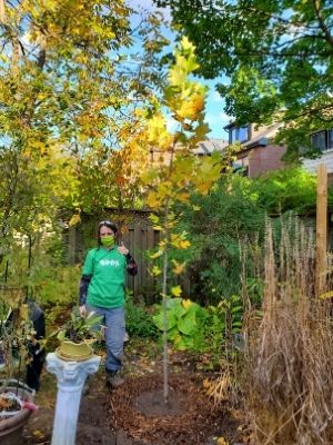 Tamar standing beside a tulip tree(© 2020 Adriana Rezai-Stevens / LEAF)