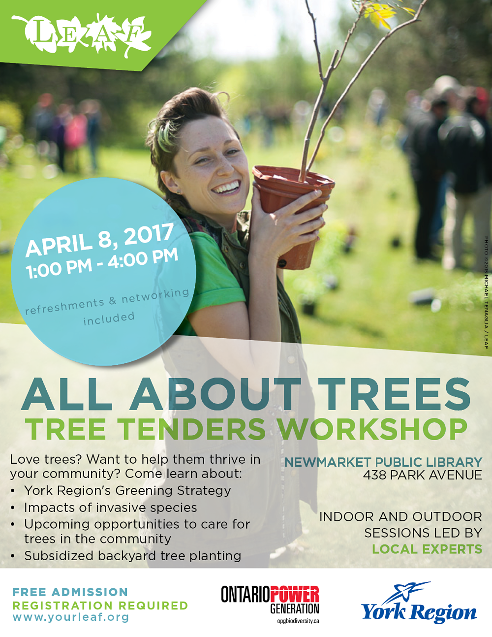 All About Trees Poster All About Trees Poster