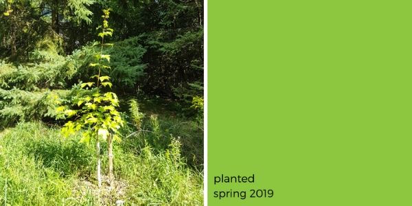 (© 2019 Adriana Rezai-Stevens / LEAF)