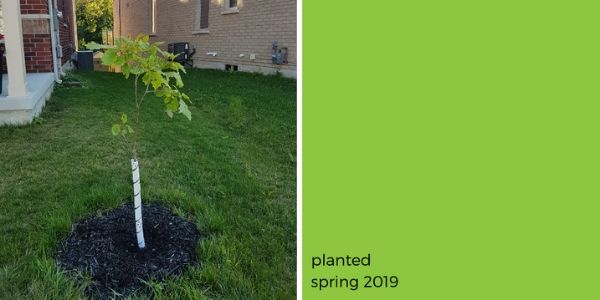 (© 2019 Adriana Rezai-Stevens / LEAF)