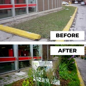 Before and after photo of Bathurst garden