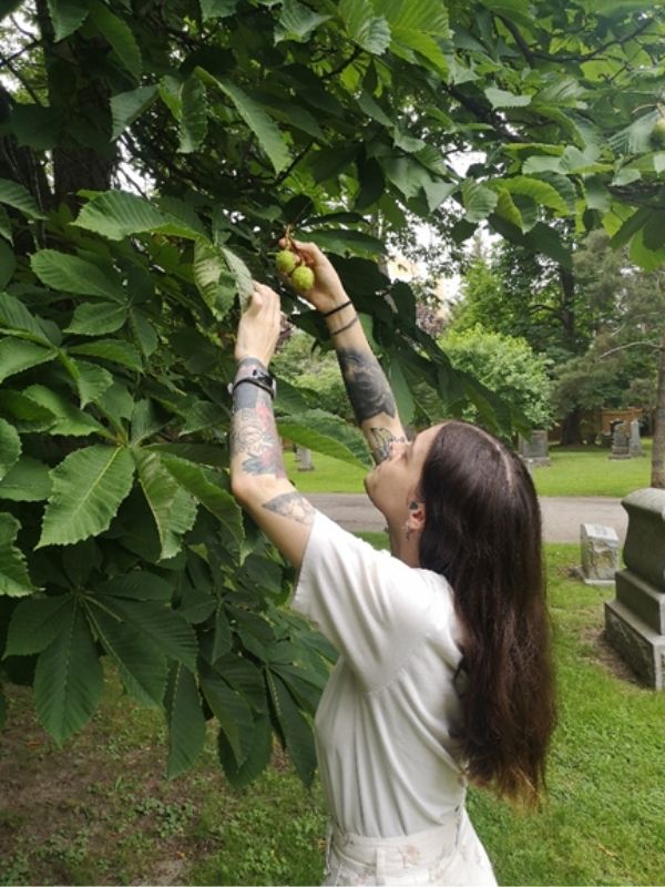 Bryony picking fruit from tree(© 2021 Bryony Wharfe)