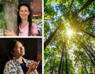collage of Janet, Dany and a forest canopy