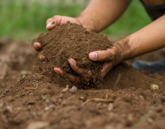 hands holding soil