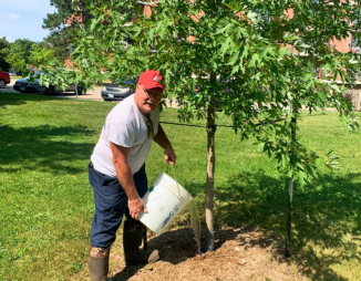 © 2021 Thomas Boehler A member of a TCHC Tree Care Team Waters a Young Tree.