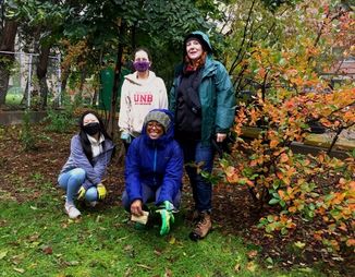 © 2021 Sarah Halonen/LEAF Group of four garden stewards