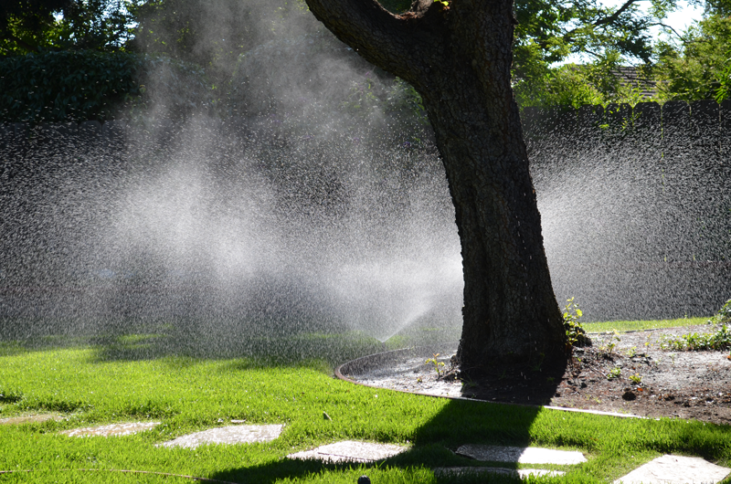 sprinkler spraying water on grass and tree trunk(“Summertime” by Eric Sonstroem is licensed under a CC BY 2.0 license)