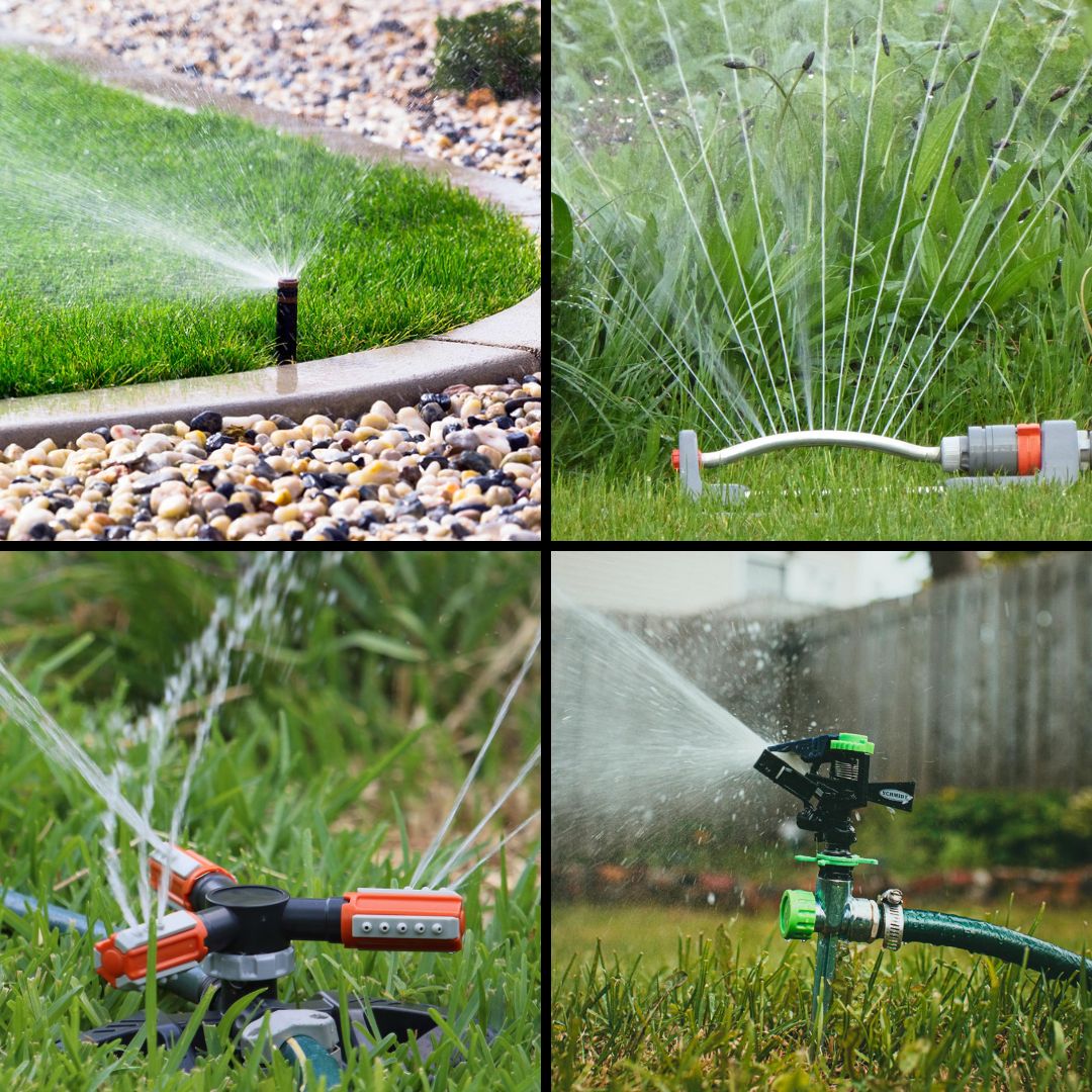 common types of sprinklers include fixed (top left), oscillating (top right), rotary (bottom left) and impact (bottom right)(© 2016 Aqua Mechanical & © 2015 Ester Merbt & © 2021 David Russell & © 2023 Jonathan Cooper)