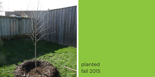 ©2015 Laura Collings / LEAF(©2015 Laura Collings / LEAF)