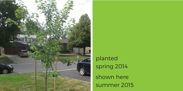 ©2015 Warren / LEAF(©2015 Warren / LEAF)