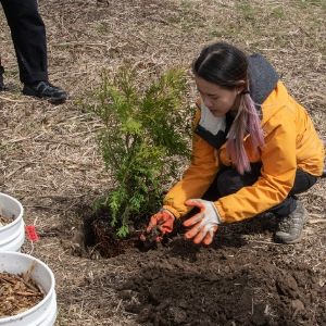 Planting demonstration by LEAF staff members(© 2019 Lillian Natalizio / LEAF)