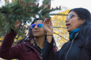 © 2017 Lillian Natalizio Two women inspect a spruce tree(© 2017 Lillian Natalizio)