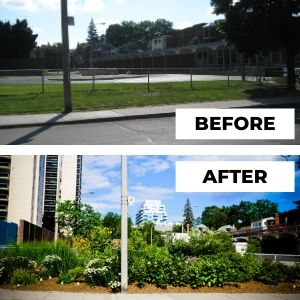 Before and after photo of High Park garden