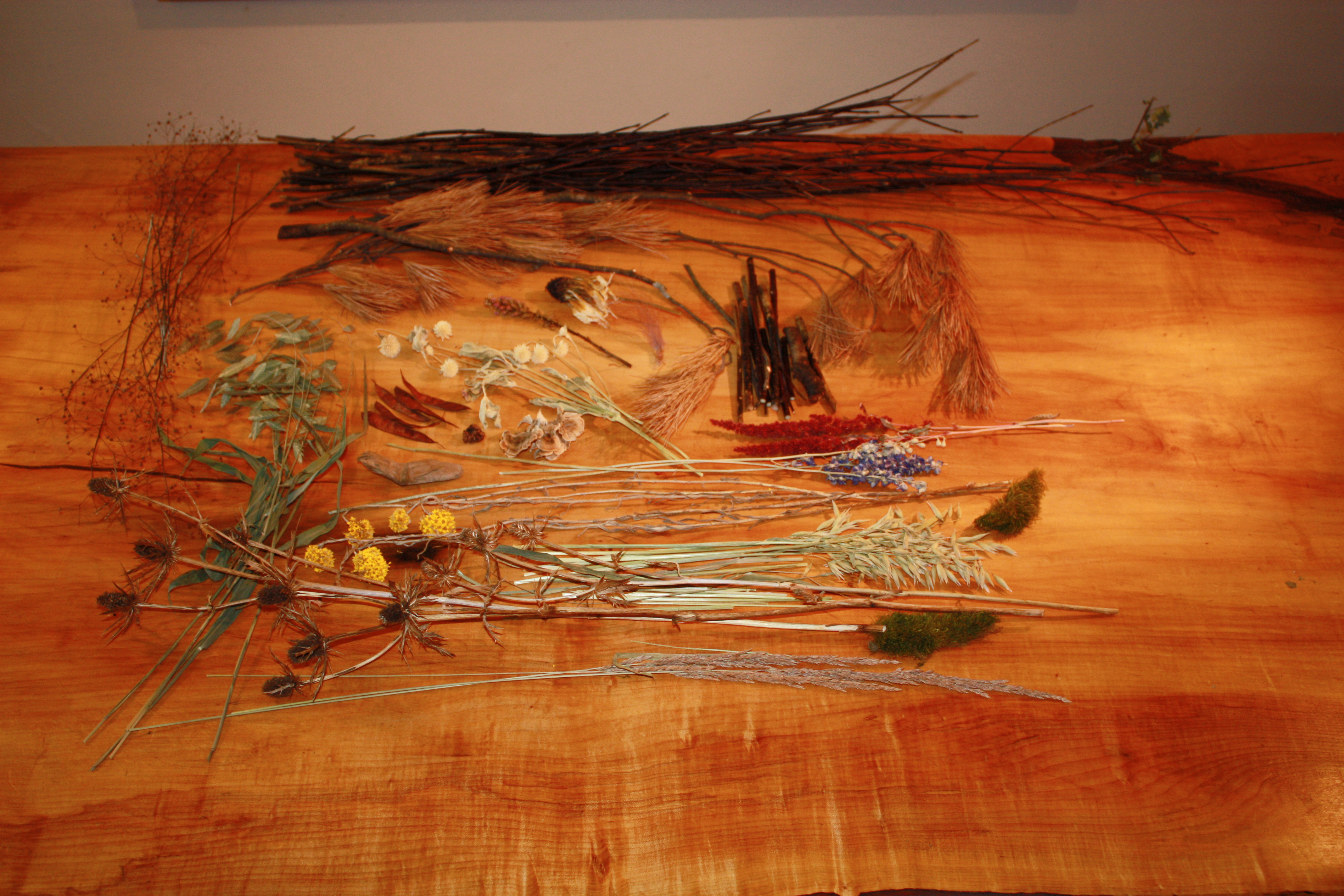 Pine needles, thistle, sea oats, dogwood, among others