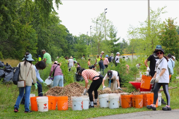 Community mulching in action.
