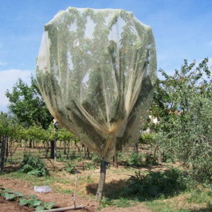 Fine netting can protect plants like cherry trees from beetle damage but should be used after flowering to avoid blocking pollin