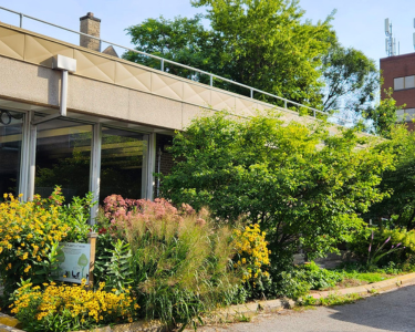 Bathurst Station Urban Forest Demonstration Garden