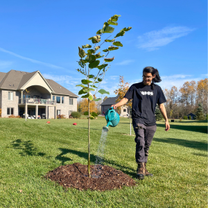LEAF employee watering a newly planted tree