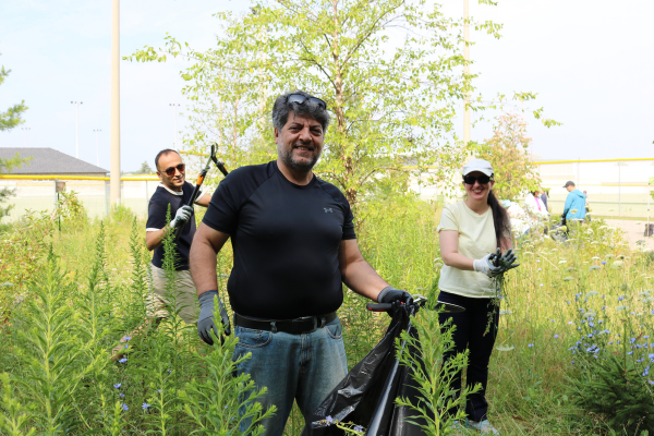 Invasive plant removal crew.