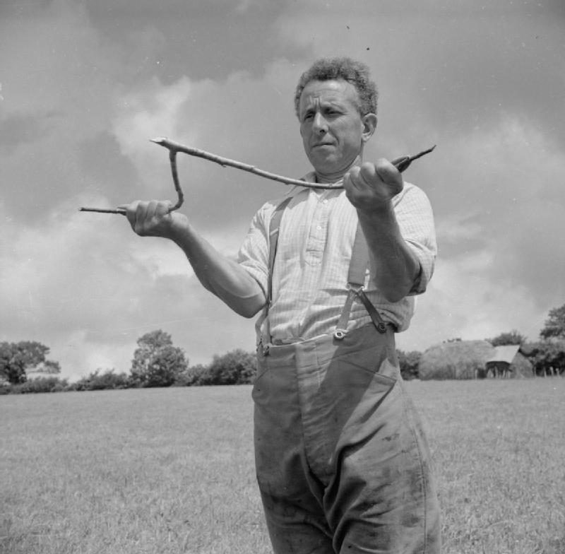 George Casely uses a hazel twig to search for water on the land around his Devon farm, 1942.