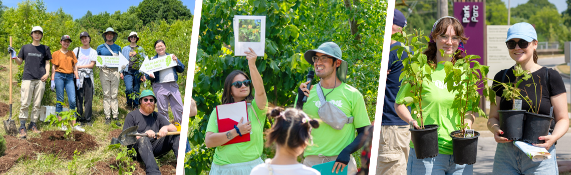 collage of YUFL participants doing tree planting, leading tree tours, and holding potted shrubs