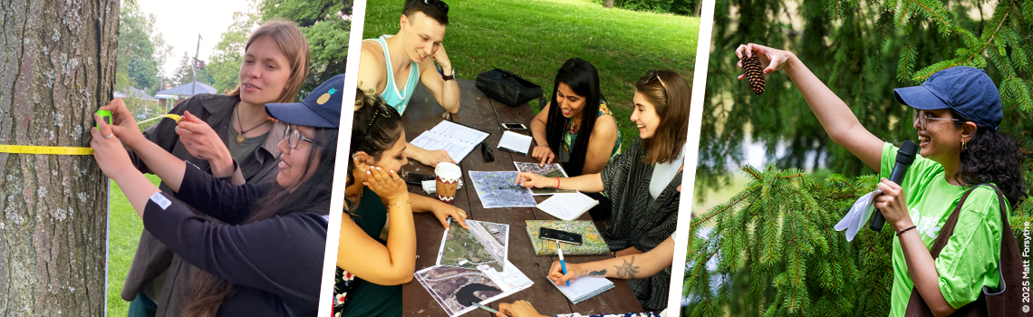 collage of YUFL participants measuring tree width, sitting at picnic table and doing a tree tour