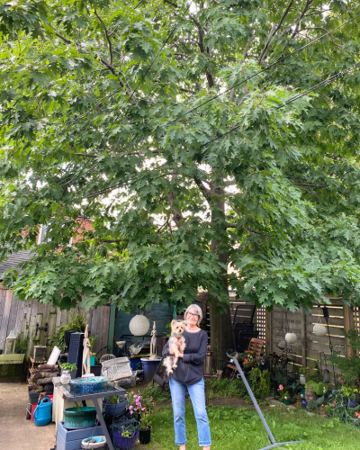 BYTP participant posing with an oak tree