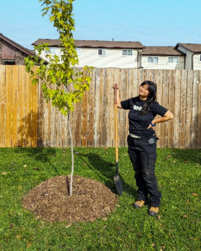 Dany planting a tree for a LEAF participant during their position as an Urban Tree Planter 
