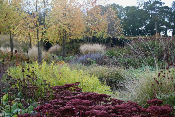 Piet Oudolf’s autumn garden with diverse height, texture, and form; seedheads and airy grasses add lasting visual interest.