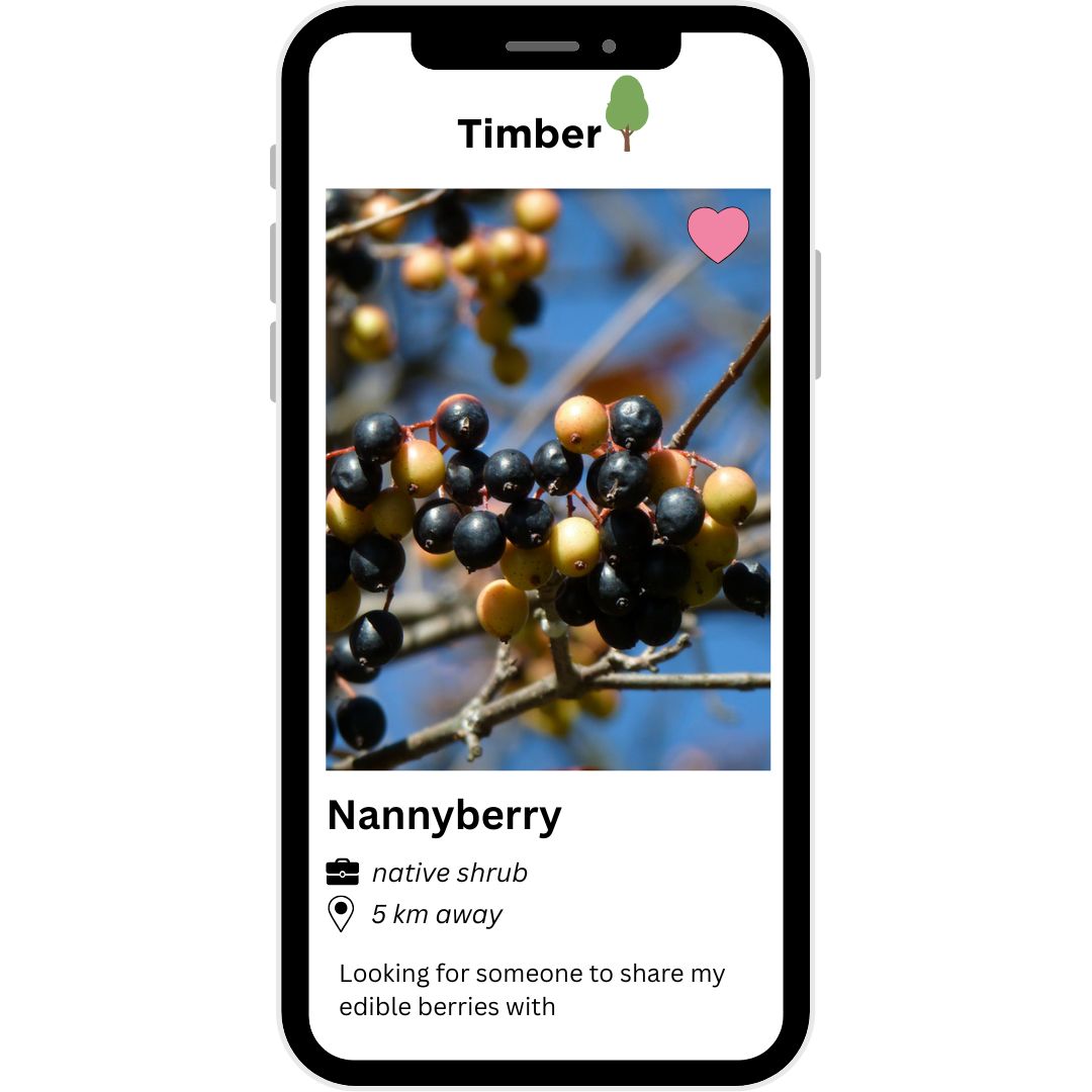 Dating app profile on a phone screen for nannyberry in the fictional app 'Timber'.