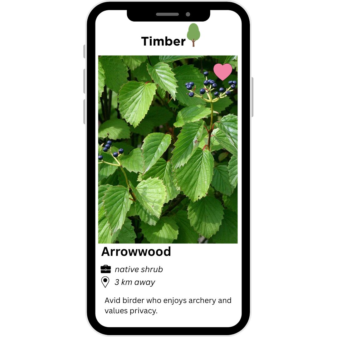 Dating app profile on a phone screen for Arrowwood in the fictional app 'Timber'