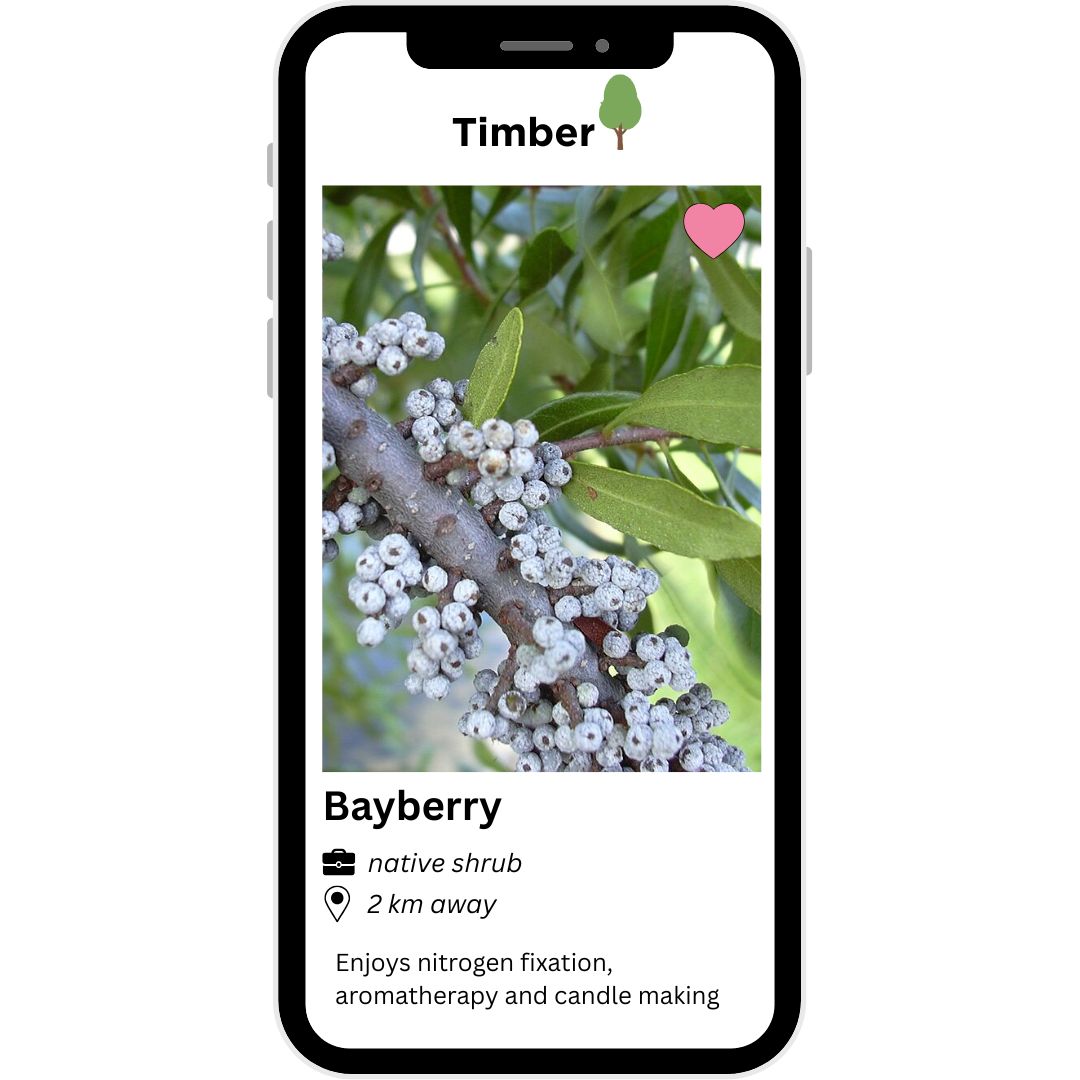 Dating app profile on a phone screen for Bayberry in the fictional app 'Timber'.