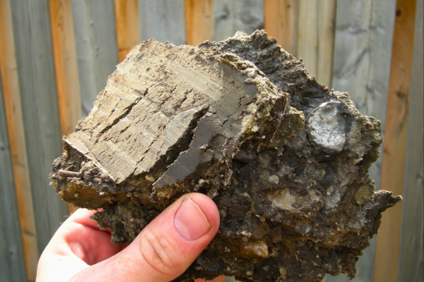 A chunk of dense clay soil
