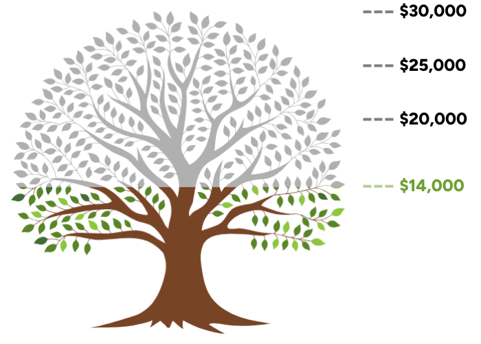 donation progress graphic in the shape of a tree