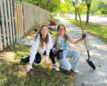 two people planting between a fence and a sidelwalk