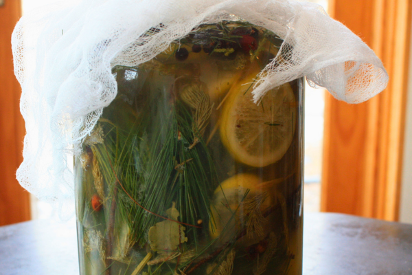 glass jar containing fresh pine needles, twigs, lemon slices, sumac and honey.
