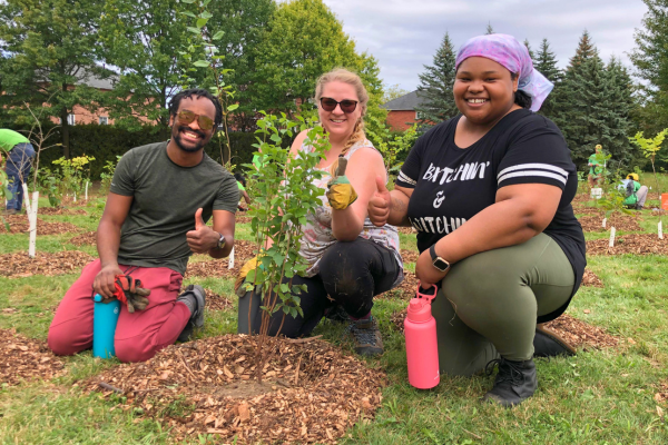 Three people kneeling around the tree they have just planted and mulched, giving a thumbs up
